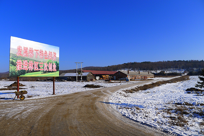 大小兴安岭林区接续替代产业专项实施