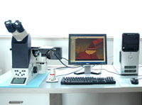 LEICA DMI 5000M数字式倒置金相显微镜