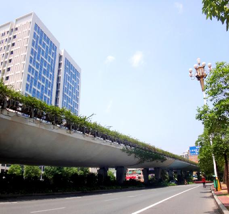 漳州市漳华路立交桥