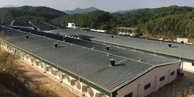 漳浦县赵木兰养殖有限公司